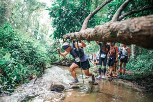 BIB: 
                            <button type="button" onclick="openModal(25373627)" class="btn btn-primary btn-sm float-right btn-popup" data-toggle="modal" data-target=".modal-high-quality">
                        <i class="fas fa-shopping-cart"></i> Add to Cart
                    </button>
                                            <button type="button" onclick="isThisMe(25373627, true)" class="btn btn-success btn-sm float-right btn-popup btn-isme hidden" data-toggle="tooltip" data-placement="bottom" title="นี่คือรูปของคุณใช่ไหม คลิกที่นี่เพื่อเอาเข้าอัลบั้ม">
                        <i class="fas fa-plus"></i> Add to album
                    </button>
                    <button type="button" onclick="isThisMe(25373627, false)" class="btn btn-warning btn-sm float-right btn-popup btn-isnotme hidden">
                        <i class="fas fa-ban"></i> Remove from album
                    </button>